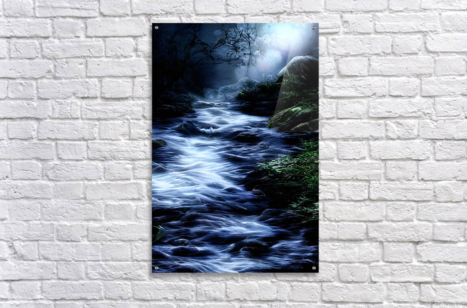 Acrylic Print