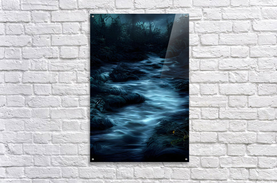 Acrylic Print