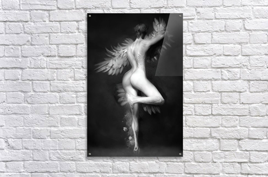Acrylic Print